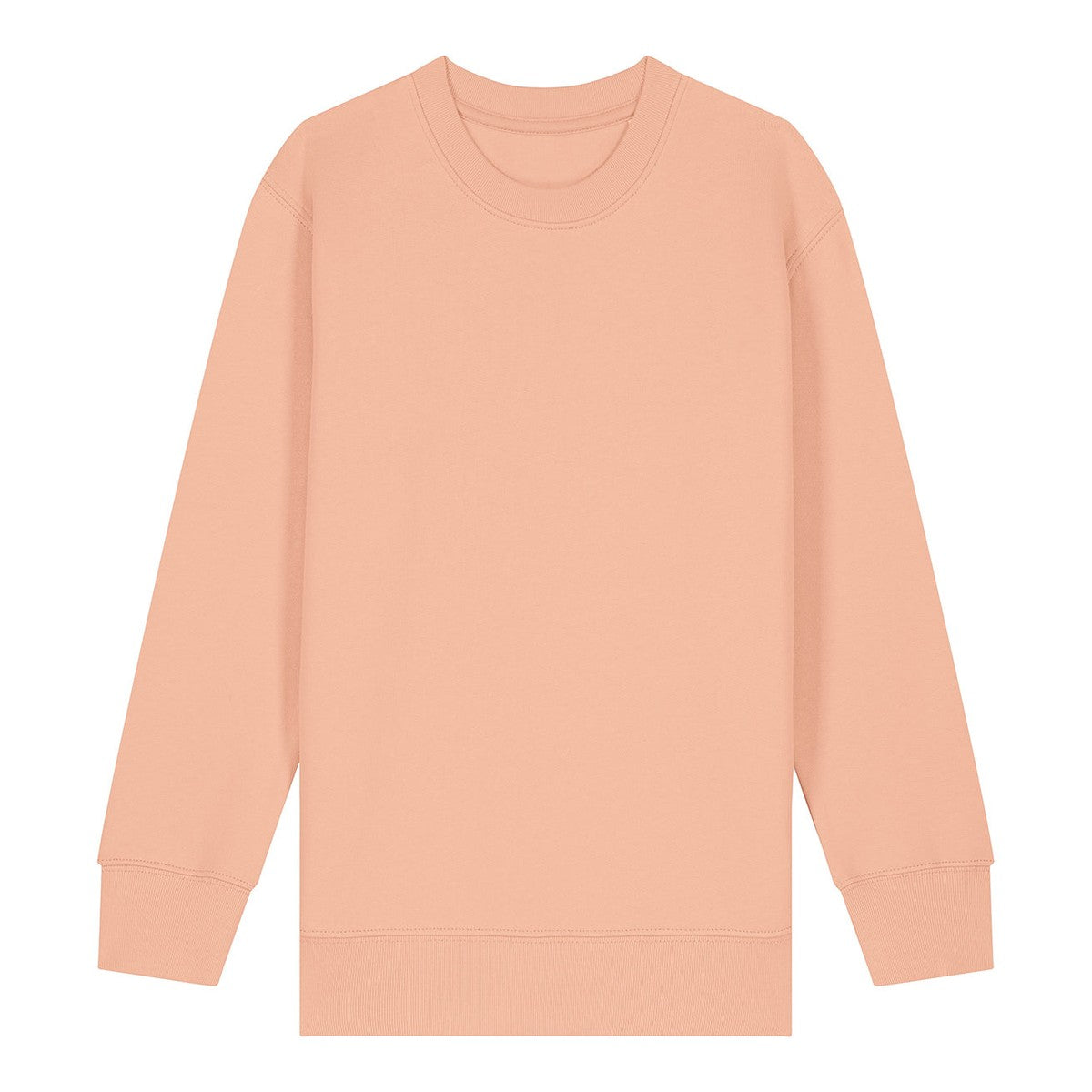 Kids Mini Changer 2.0 iconic crew neck sweatshirt (STSK181)