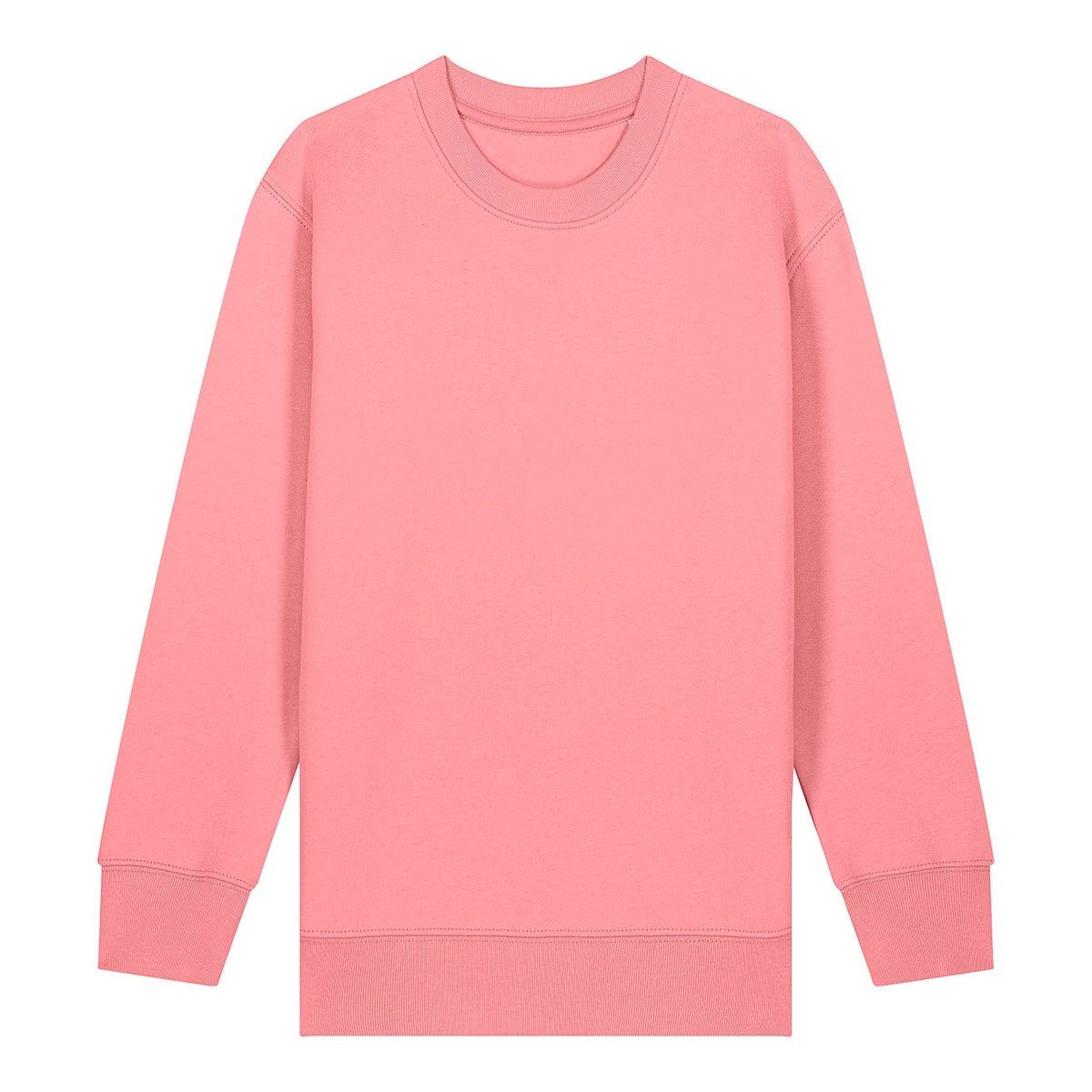 Kids Mini Changer 2.0 iconic crew neck sweatshirt (STSK181)
