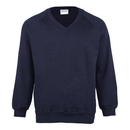 Kids Coloursure™ v-neck sweatshirt
