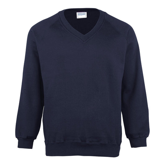 Kids Coloursure™ v-neck sweatshirt