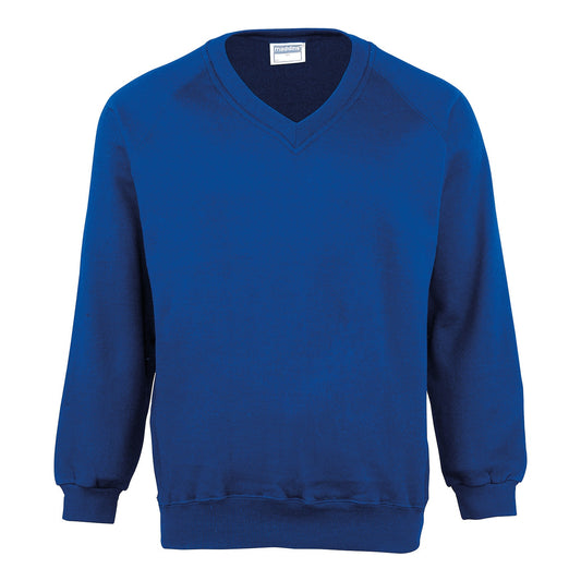 Kids Coloursure™ v-neck sweatshirt