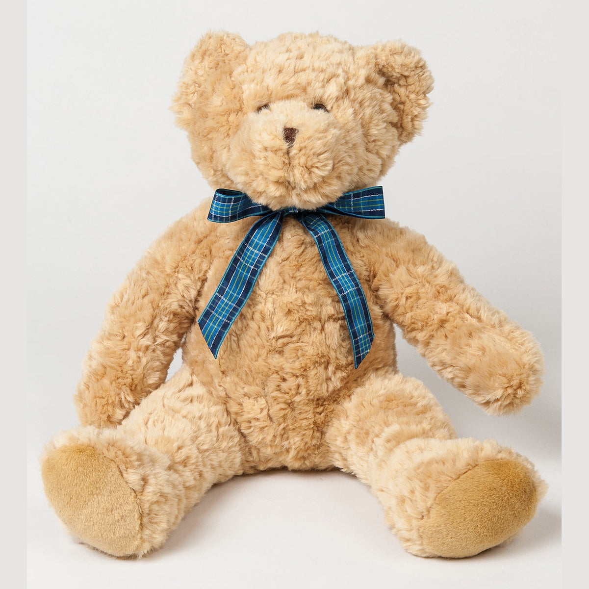 Bracken bear