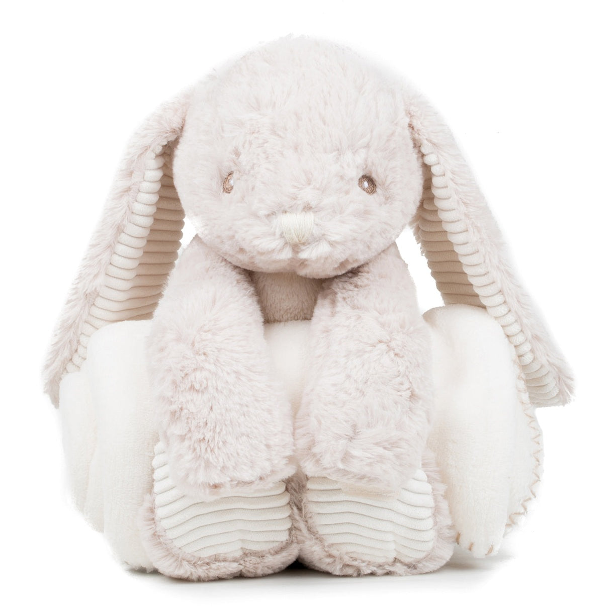 Rabbit and blanket