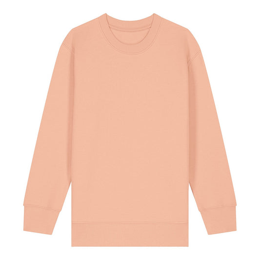 Kids Mini Changer 2.0 iconic crew neck sweatshirt (STSK181)