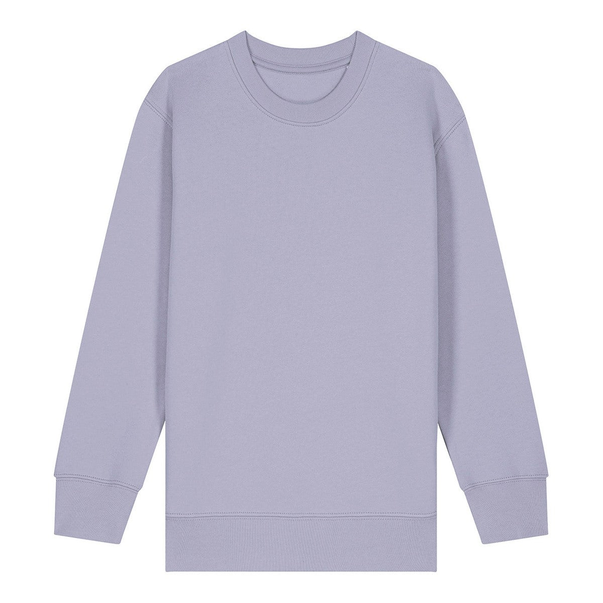 Kids Mini Changer 2.0 iconic crew neck sweatshirt (STSK181)