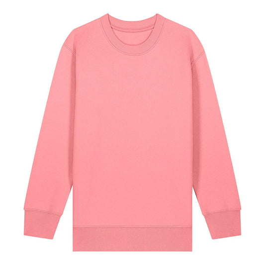 Kids Mini Changer 2.0 iconic crew neck sweatshirt (STSK181)