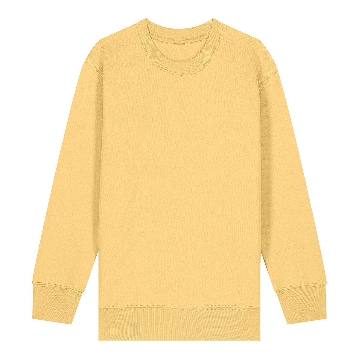 Kids Mini Changer 2.0 iconic crew neck sweatshirt (STSK181)