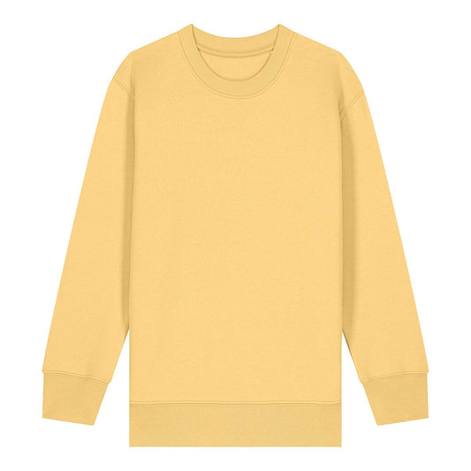 Kids Mini Changer 2.0 iconic crew neck sweatshirt (STSK181)