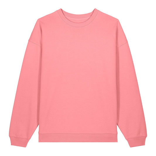 Radder 2.0 (STSU208)