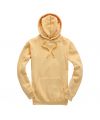 Premium Hoodie
