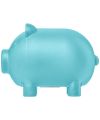 Oink small piggy bank