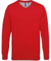 Men's cotton blend v-neck sweater