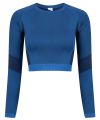 Women's seamless panelled long sleeve crop top