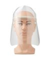 Protective Visor - Large - WH