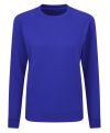 Ladies' Raglan Sleeve Crew Neck Sweatshirt