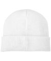 Boreas beanie with patch