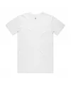 MENS STAPLE ORGANIC TEE - 5001G