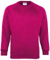 Coloursure™ sweatshirt