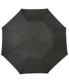 Argon 30'' foldable auto open umbrella