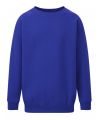 Kid's Raglan Sleeve Crew Neck Sweatshirt