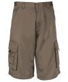 Trekker Bermuda shorts