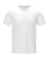 Kawartha short sleeve men's organic t-shirt