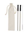 Lena reusable stainless straw set