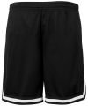 Two-tone mesh shorts