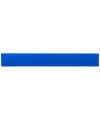 Rothko 30 cm plastic ruler