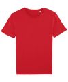 Unisex Leads essential t-shirt (STTM528)