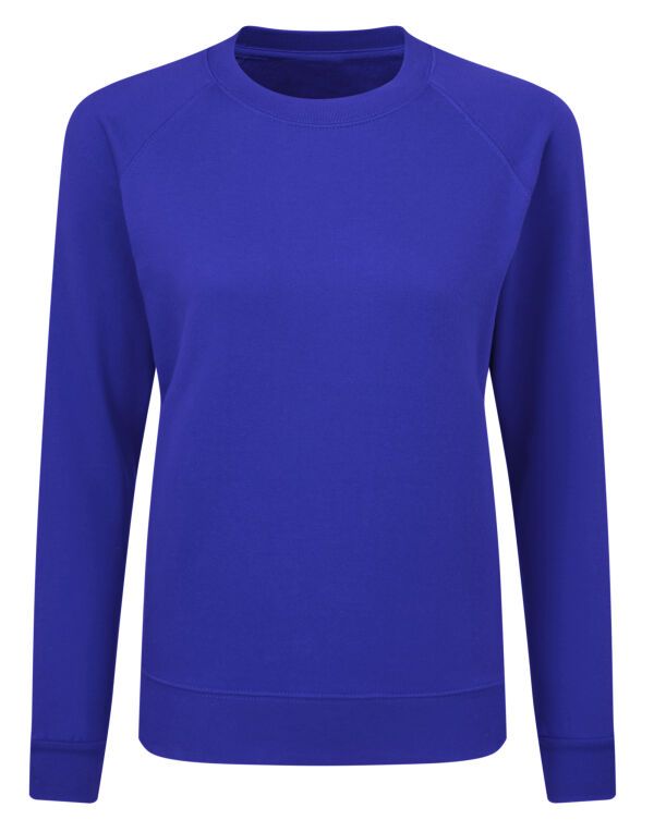 Ladies' Raglan Sleeve Crew Neck Sweatshirt