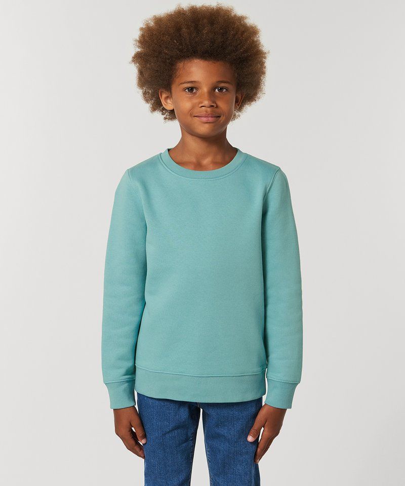 Kids mini Changer iconic crew neck sweatshirt (STSK913)
