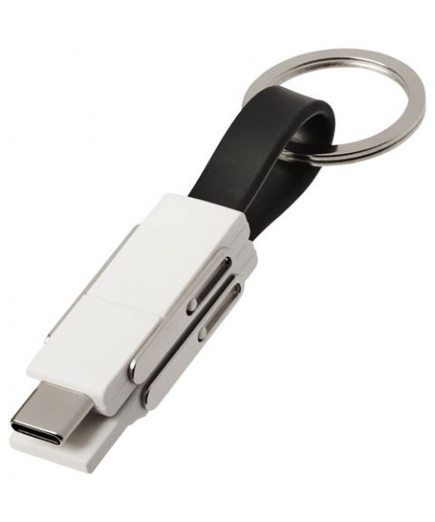 One 4-in-1 cable